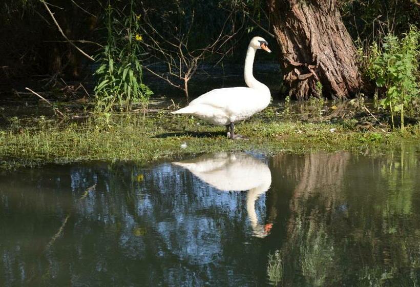 Пансион Casa Nelu Pescaru