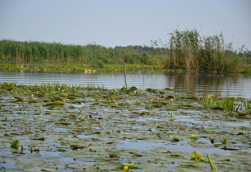 Пансион Casa Nelu Pescaru