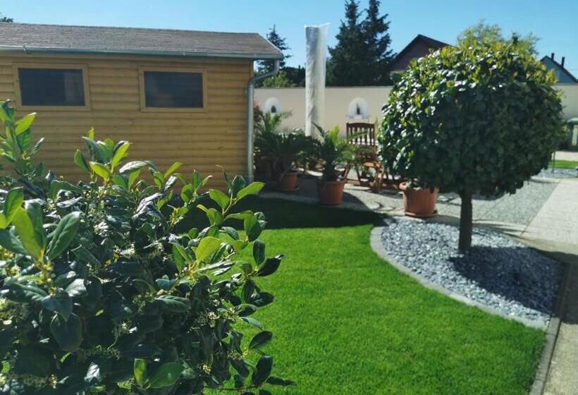 بنسيون Csabai Vendégház