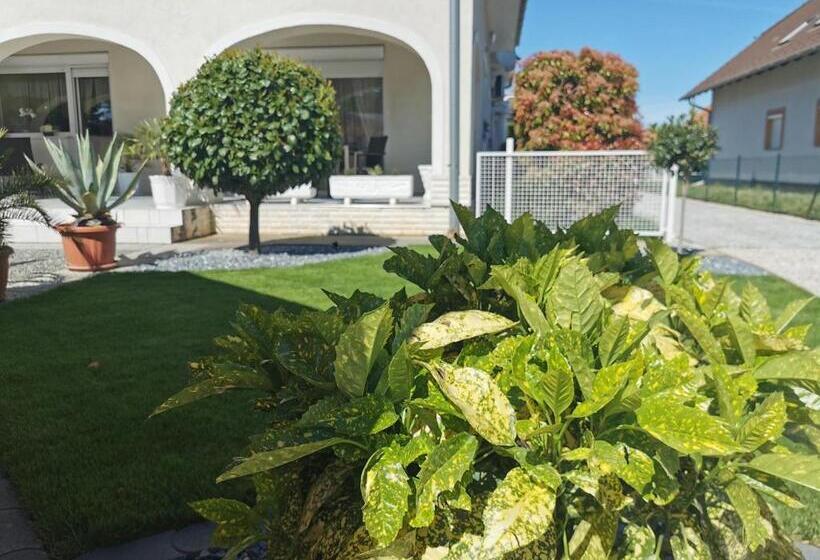 بنسيون Csabai Vendégház