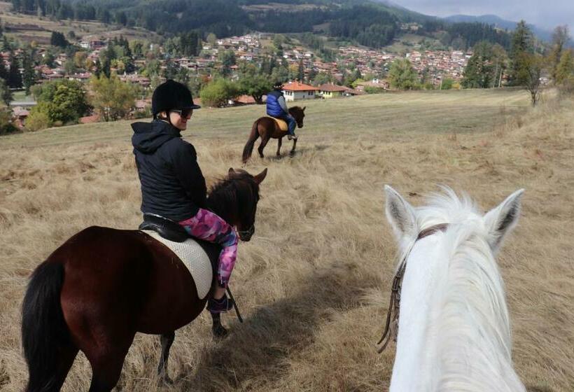 Пансион Dona Guest House   Horse Riding