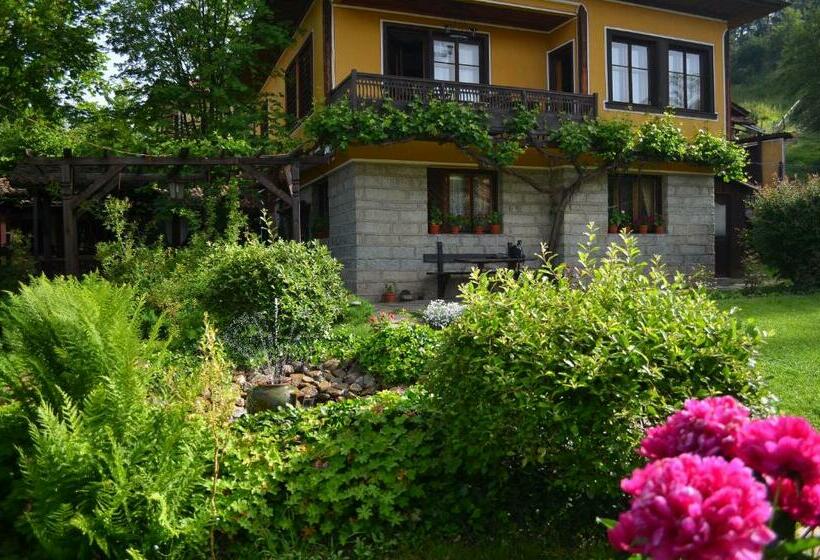 Пансион Dona Guest House   Horse Riding