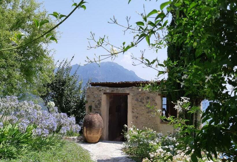 بنسيون Eleanor' S Garden