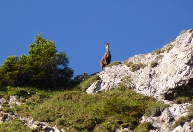 Пансион Gästehaus Christa
