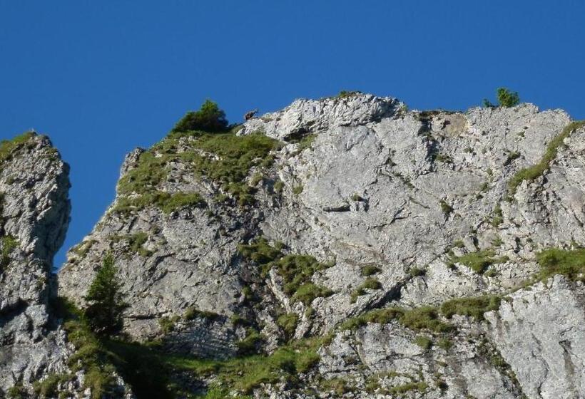 بنسيون Gästehaus Christa