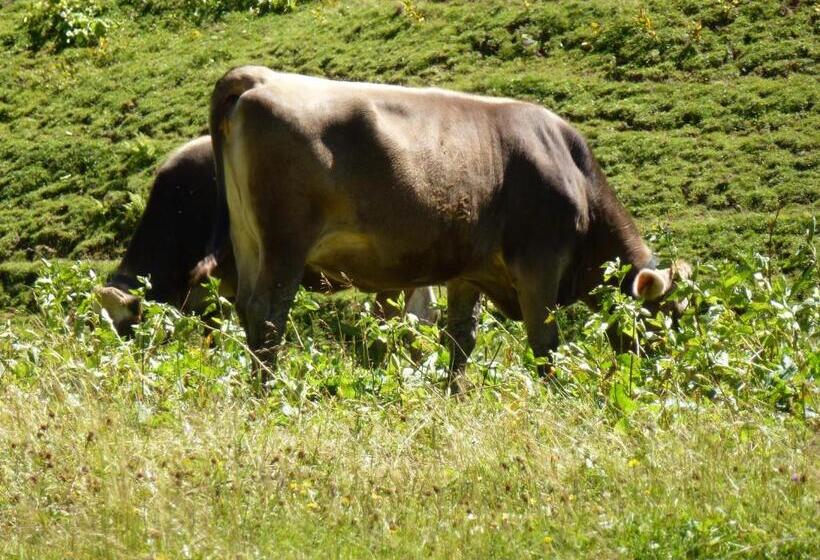 Пансион Gästehaus Christa