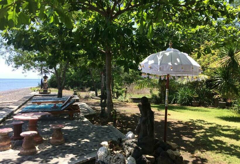 膳宿费 Jukung Bali Bungalow