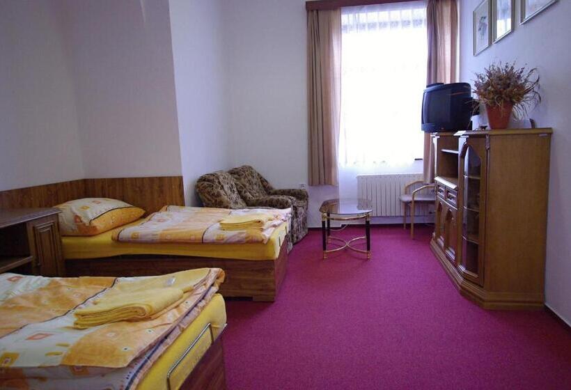 بنسيون Koleje Zamecek