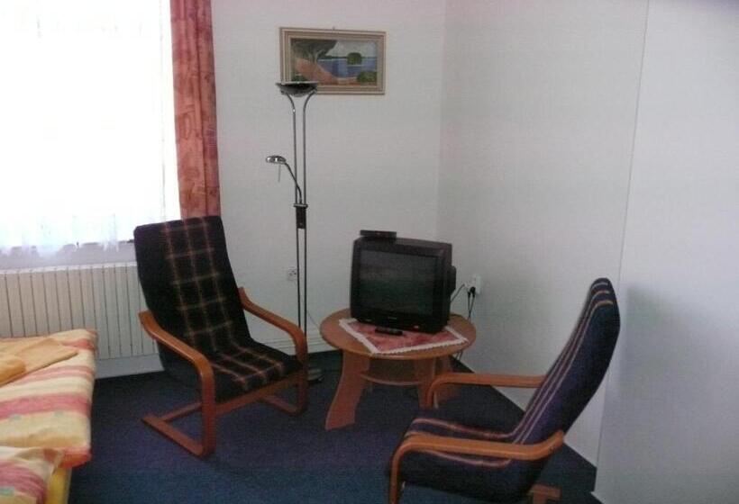 بنسيون Koleje Zamecek