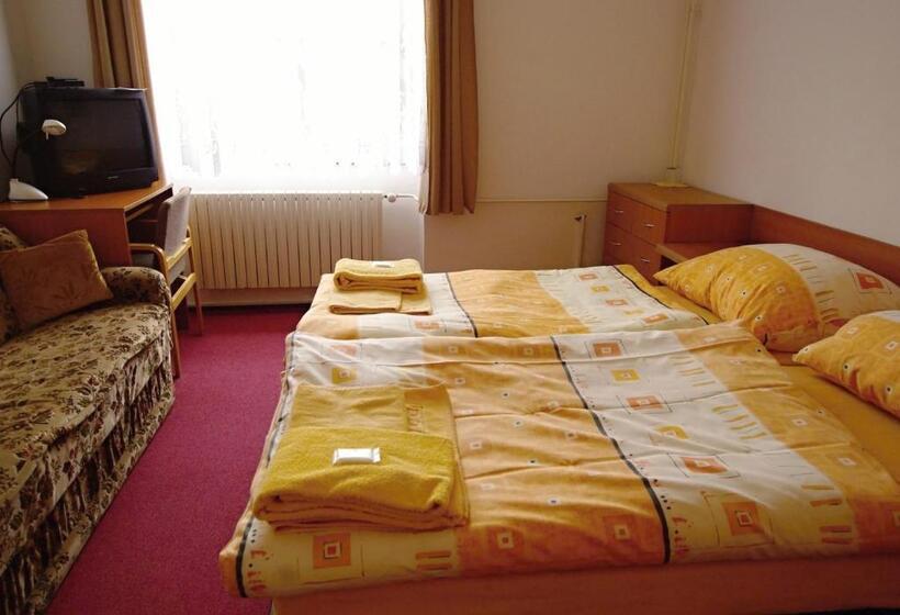 بنسيون Koleje Zamecek