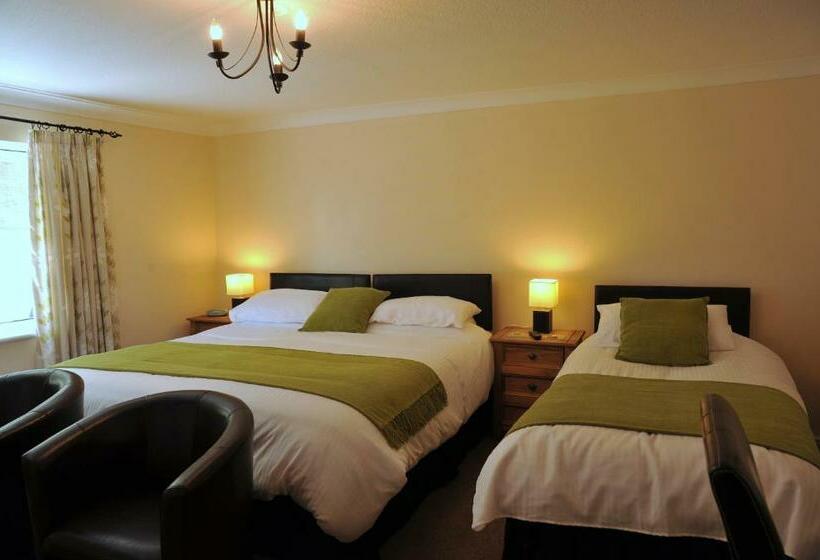 ペンション Maes Y Garth