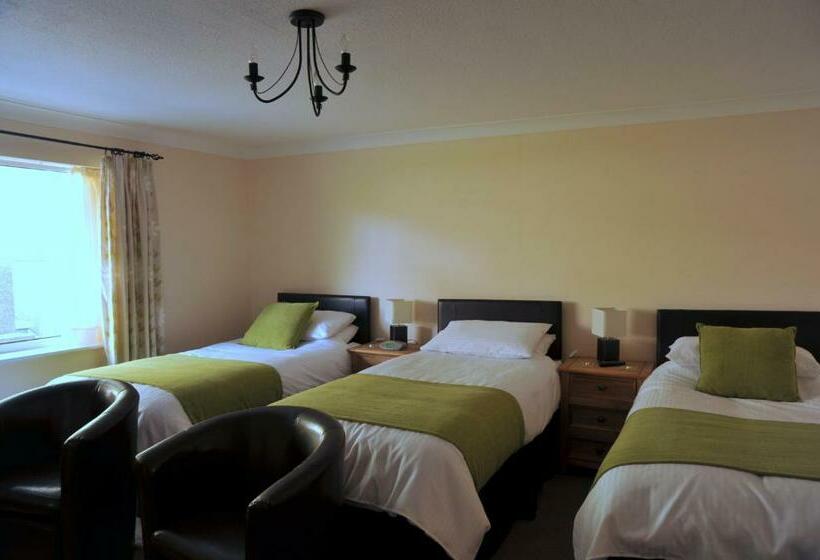 ペンション Maes Y Garth