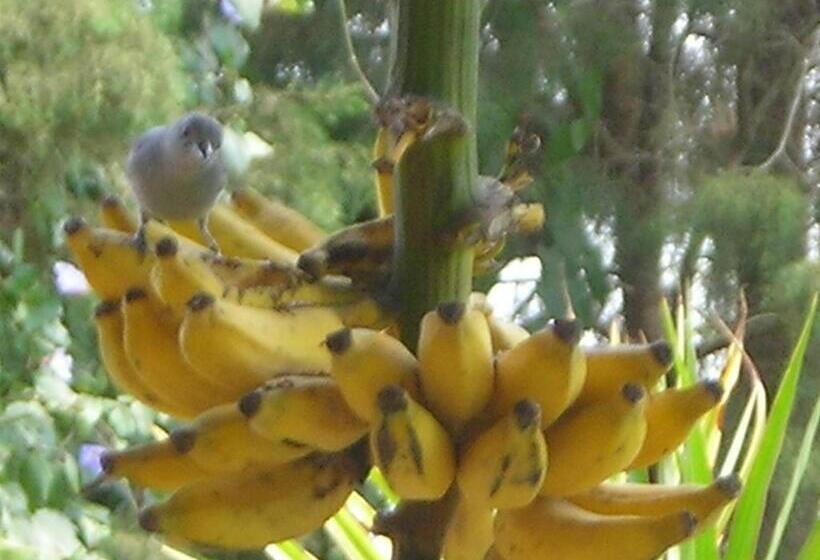 膳宿费 Morada Crisálida