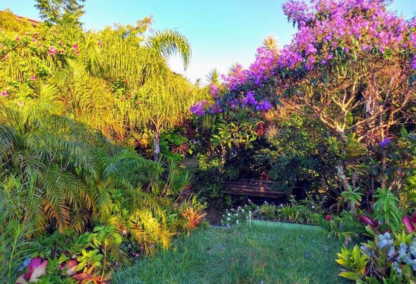 膳宿费 Morada Crisálida