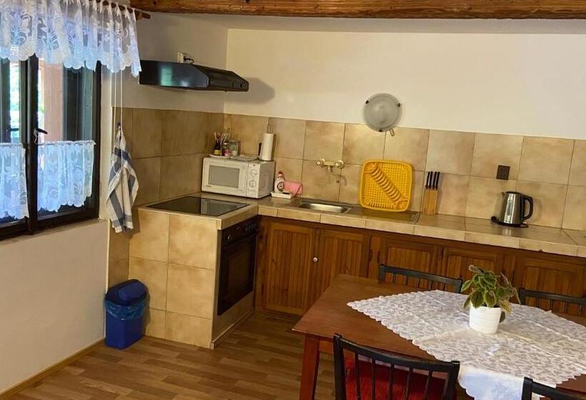 פנסיון Penzion Bamako