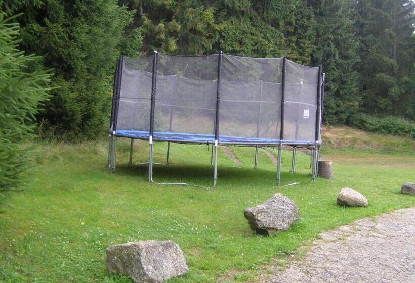 پانسیون Penzion Borovice