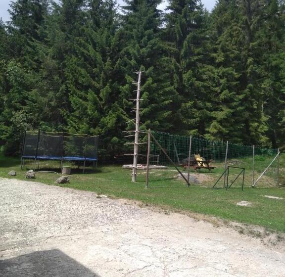 پانسیون Penzion Borovice