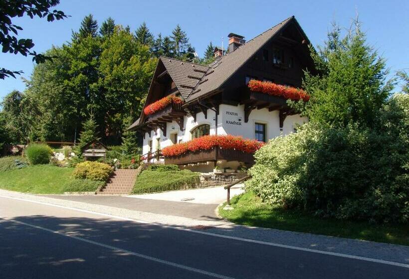 پانسیون Penzion Kamínek