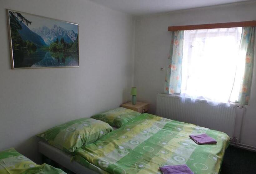 ペンション Penzion Tomy Pihlov