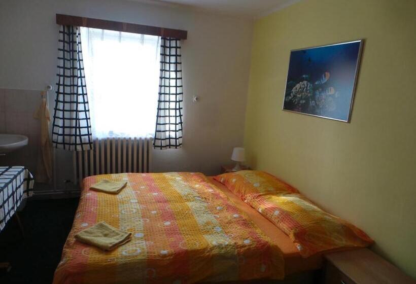 ペンション Penzion Tomy Pihlov