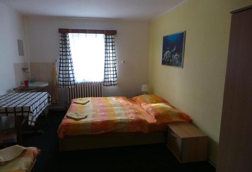 ペンション Penzion Tomy Pihlov