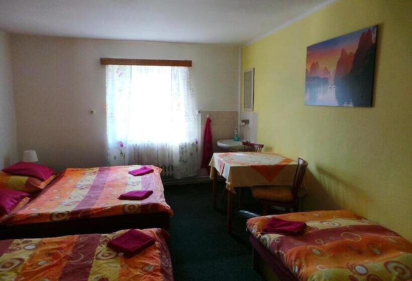 ペンション Penzion Tomy Pihlov