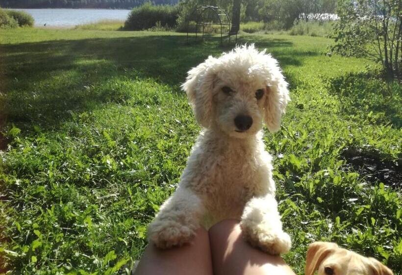 ペンション Penzion Tomy Pihlov