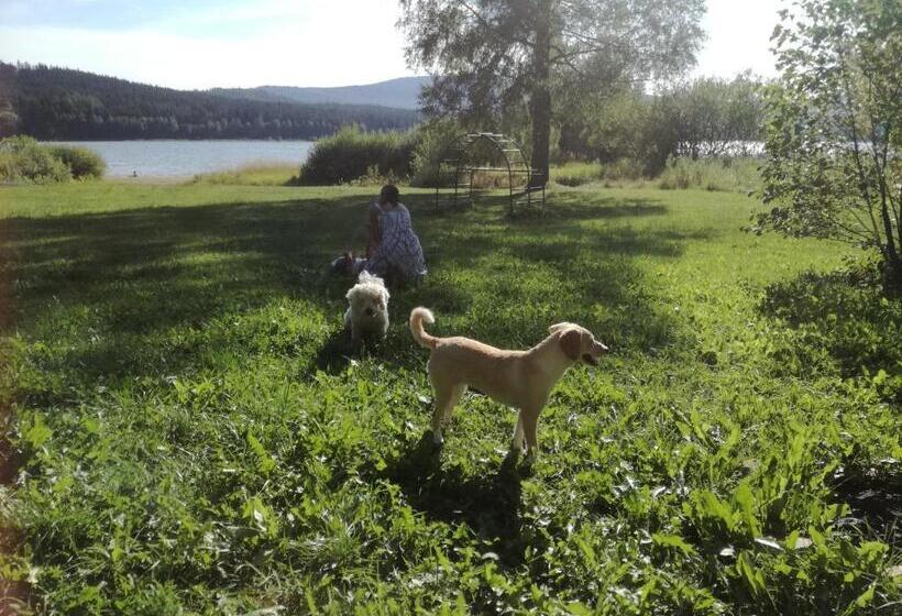 ペンション Penzion Tomy Pihlov