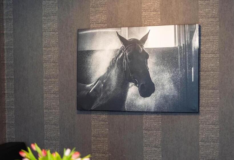 ペンション Penzion V Jízdárně