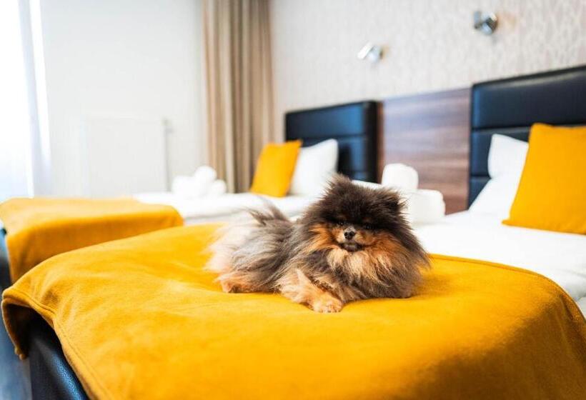 ペンション Penzion V Jízdárně