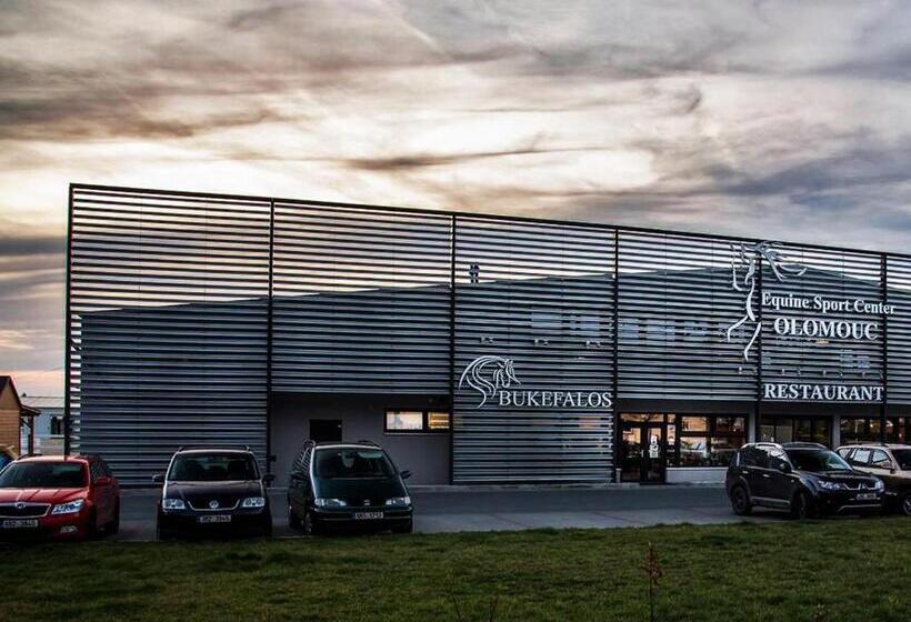 ペンション Penzion V Jízdárně