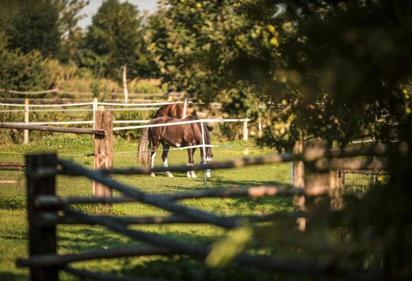 ペンション Penzion V Jízdárně