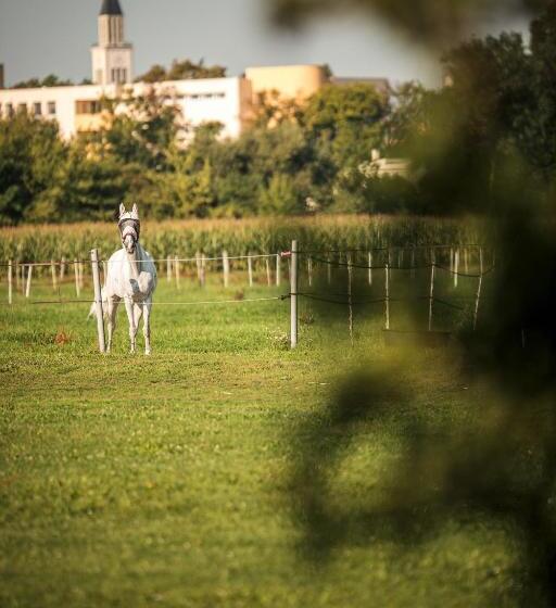 ペンション Penzion V Jízdárně