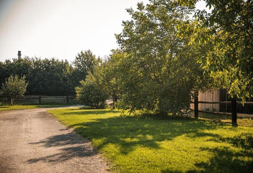 ペンション Penzion V Jízdárně