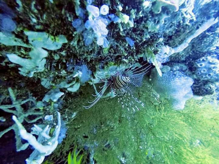 פנסיון Pondok Rahayu Guest House