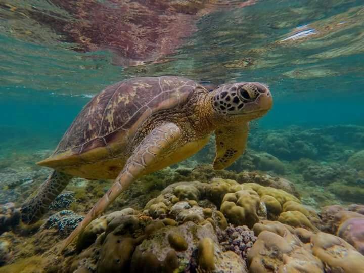 פנסיון Pondok Rahayu Guest House