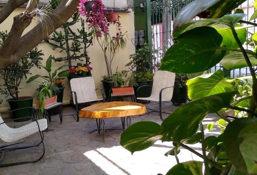 پانسیون Posada De Los Angeles