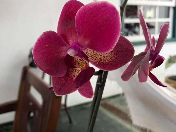 پانسیون Pousada Canteiros