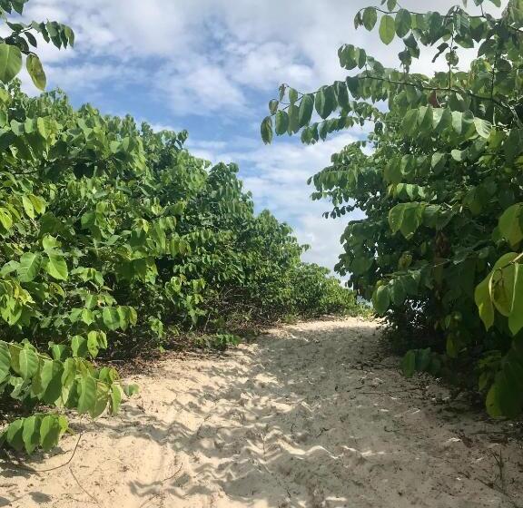 بنسيون Pousada Das Gêmeas