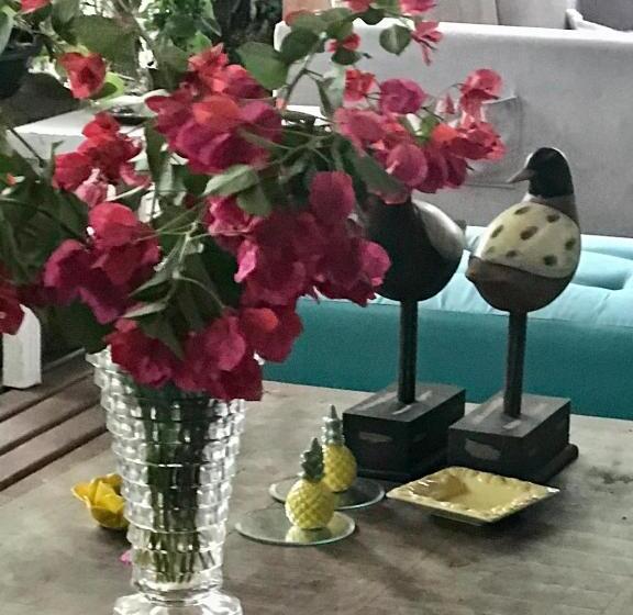 بنسيون Pousada Das Gêmeas