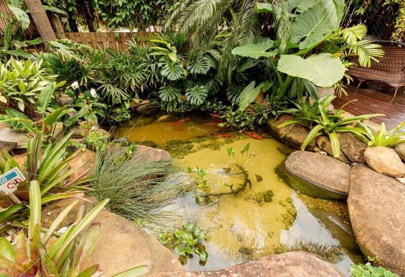 ペンション Pousada Descanso Do Rei   Vista Para O Mar & Melhor Localização Da Praia Do Rosa