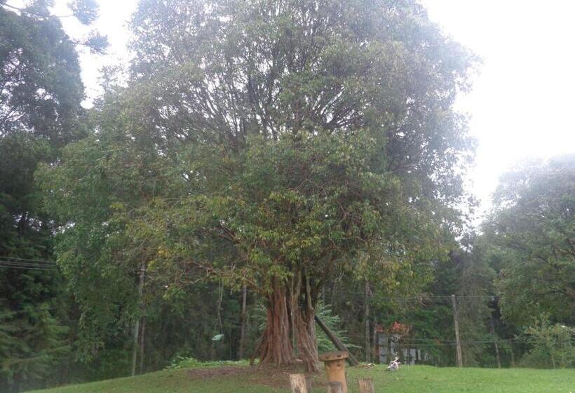 膳宿费 Pousada Pizzaria Do Vale