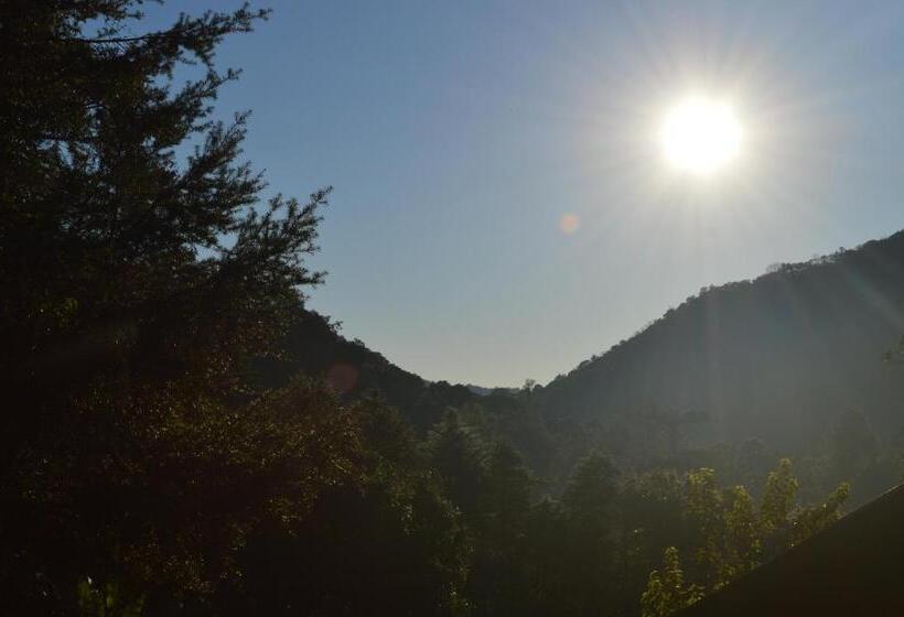 펜션 Pousada Refúgio Das Aves