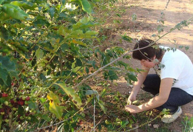 ペンション Si­tio Vila Davero