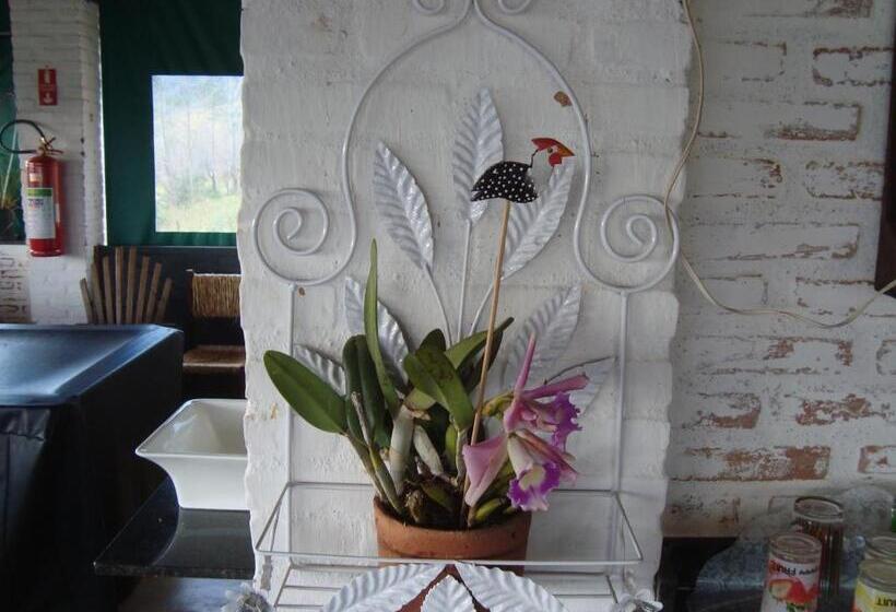 ペンション Si­tio Vila Davero