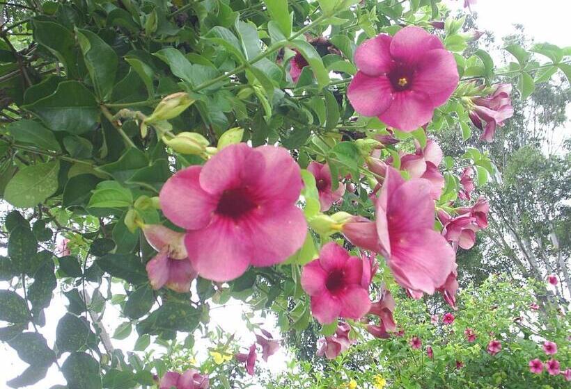 ペンション Si­tio Vila Davero