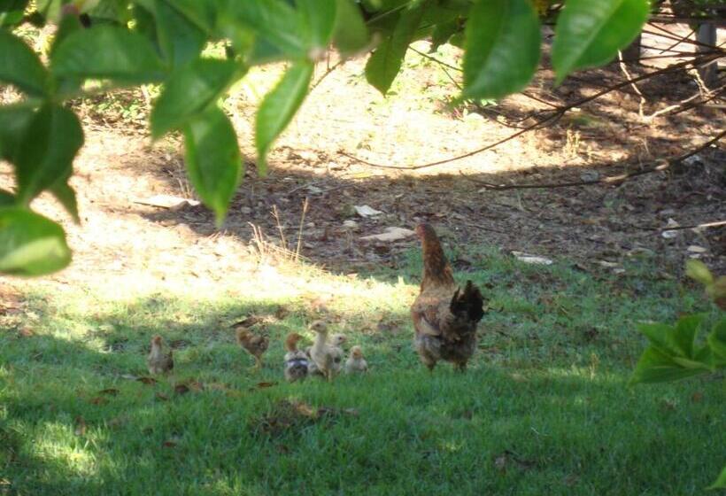 ペンション Si­tio Vila Davero