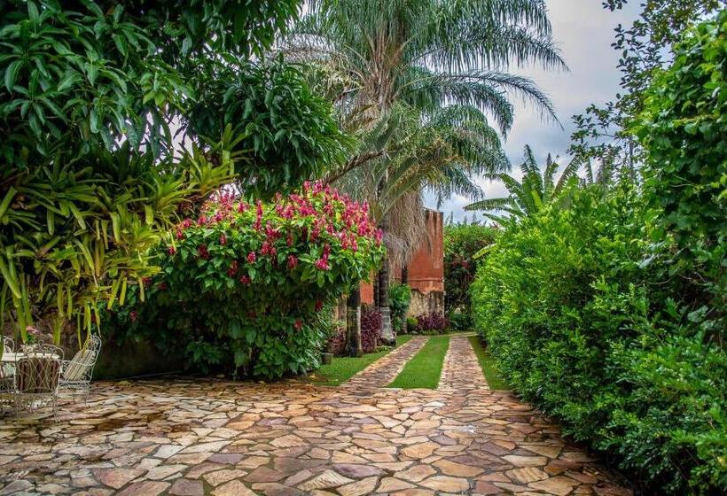 ペンション Pousada Solar Da Imperatriz