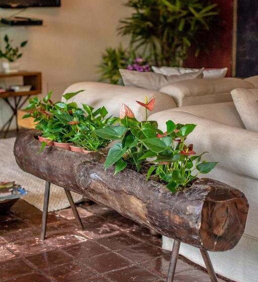 ペンション Pousada Solar Da Imperatriz