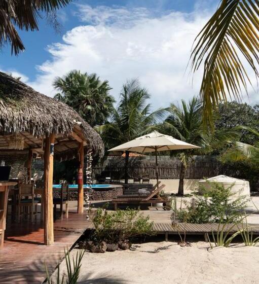 膳宿费 Terra Patris